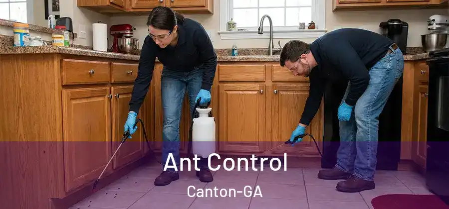 Ant Control Canton-GA