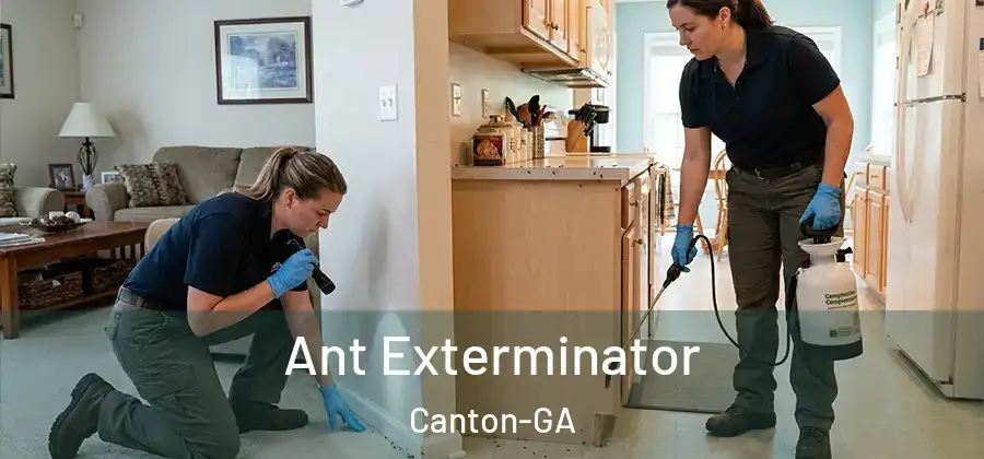 Ant Exterminator Canton-GA