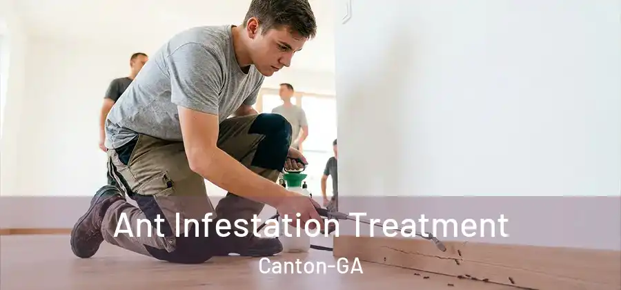 Ant Infestation Treatment Canton-GA