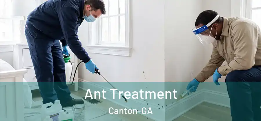  Ant Treatment Canton-GA
