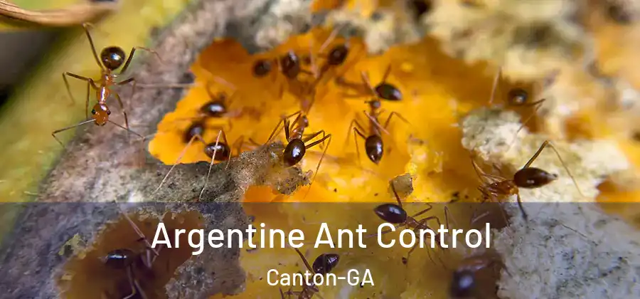 Argentine Ant Control Canton-GA