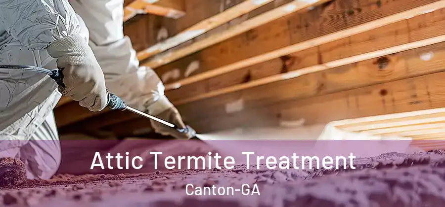 Attic Termite Treatment Canton-GA