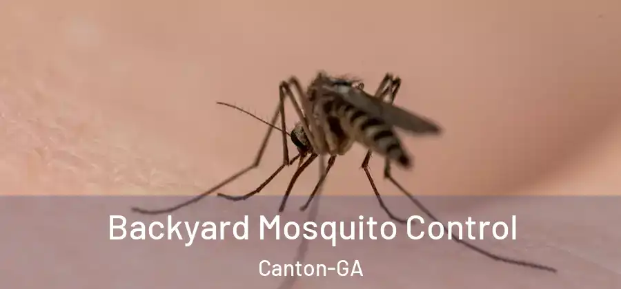 Backyard Mosquito Control Canton-GA