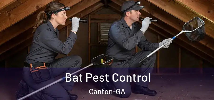 Bat Pest Control Canton-GA