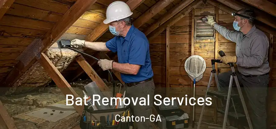 Bat Removal Services Canton-GA