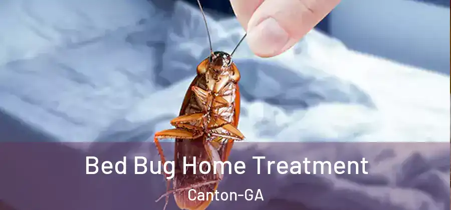 Bed Bug Home Treatment Canton-GA