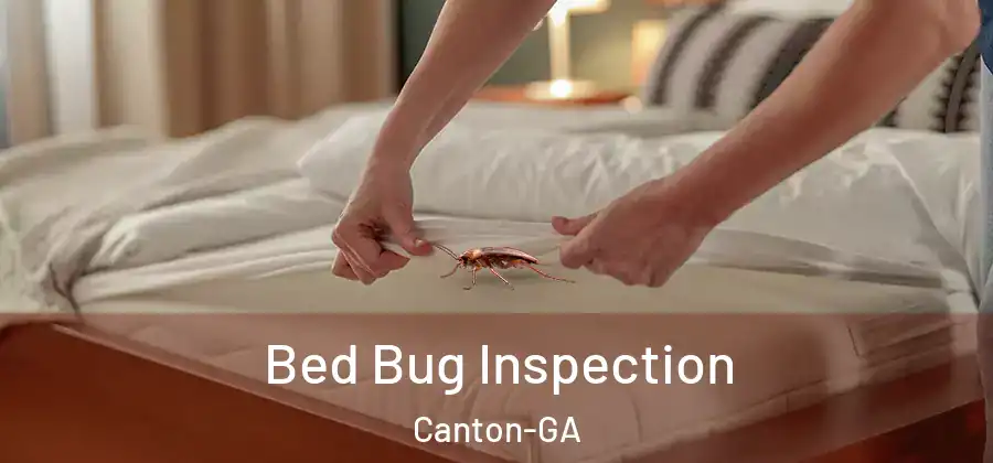 Bed Bug Inspection Canton-GA