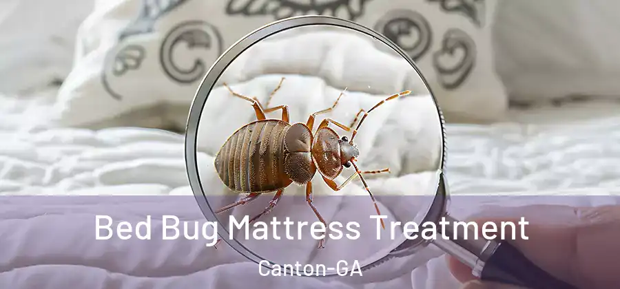 Bed Bug Mattress Treatment Canton-GA