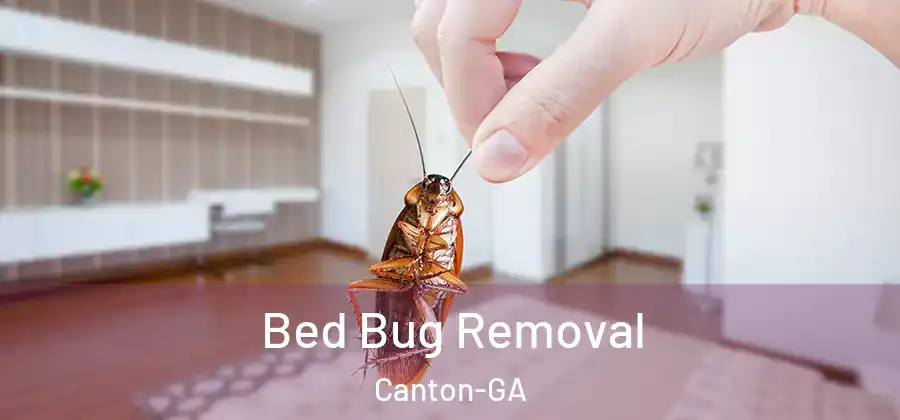 Bed Bug Removal Canton-GA