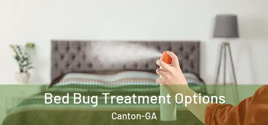 Bed Bug Treatment Options Canton-GA