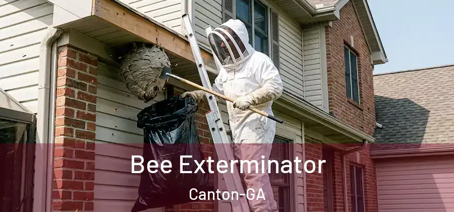 Bee Exterminator Canton-GA