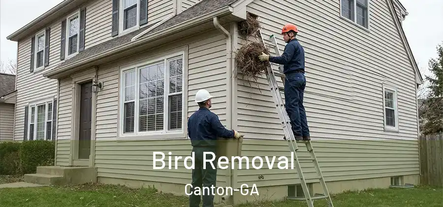 Bird Removal Canton-GA