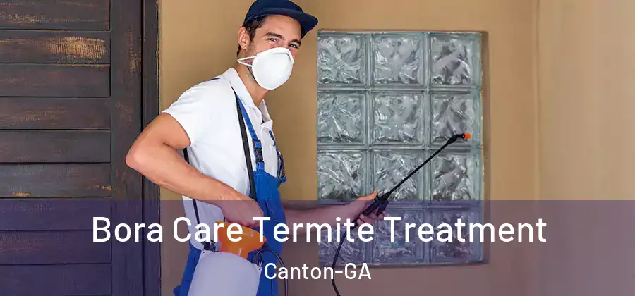 Bora Care Termite Treatment Canton-GA