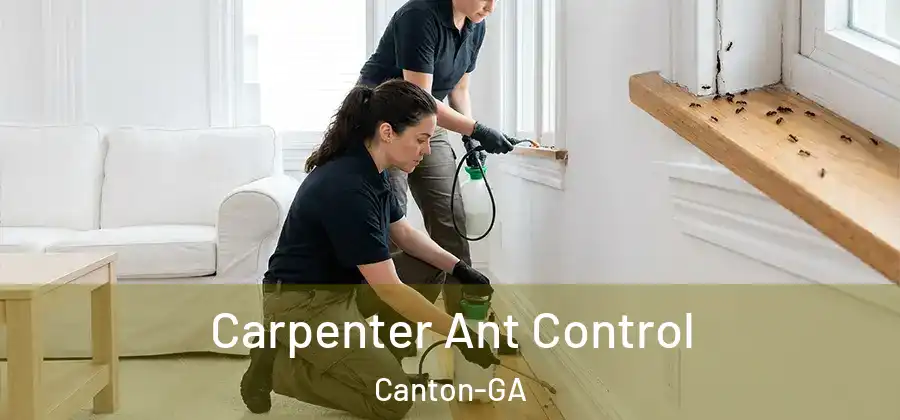 Carpenter Ant Control Canton-GA