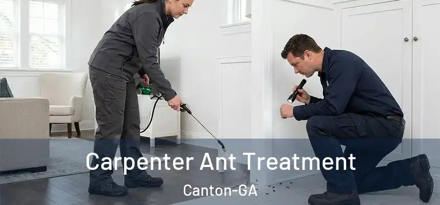 Carpenter Ant Treatment Canton-GA