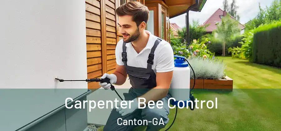  Carpenter Bee Control Canton-GA
