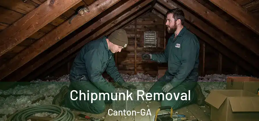 Chipmunk Removal Canton-GA