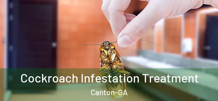 Cockroach Infestation Treatment Canton-GA