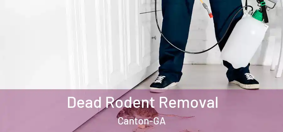 Dead Rodent Removal Canton-GA