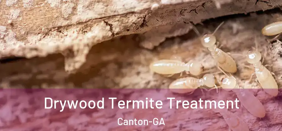 Drywood Termite Treatment Canton-GA