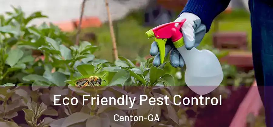  Eco Friendly Pest Control Canton-GA