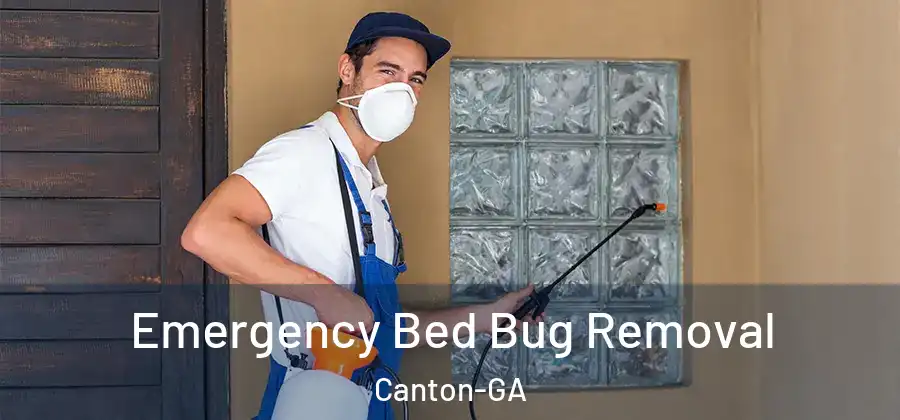 Emergency Bed Bug Removal Canton-GA