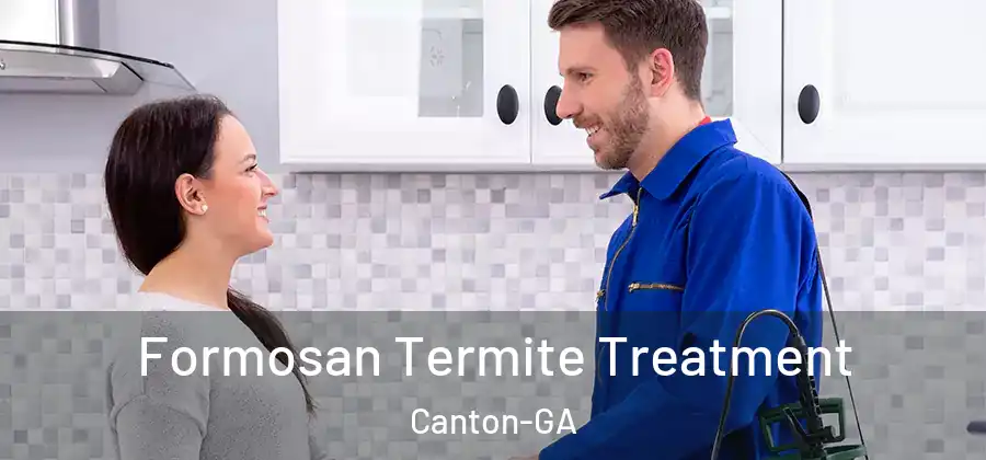 Formosan Termite Treatment Canton-GA