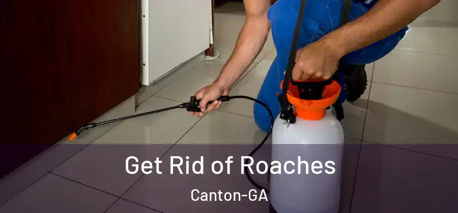 Get Rid of Roaches Canton-GA