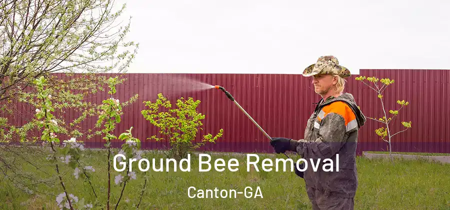 Ground Bee Removal Canton-GA