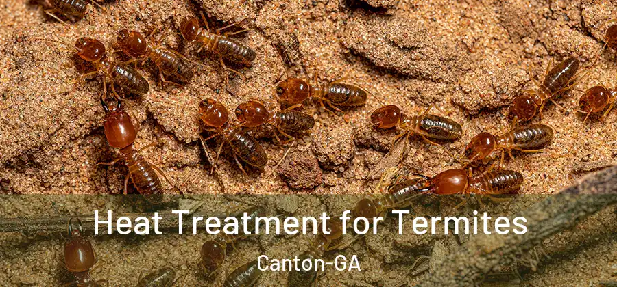 Heat Treatment for Termites Canton-GA