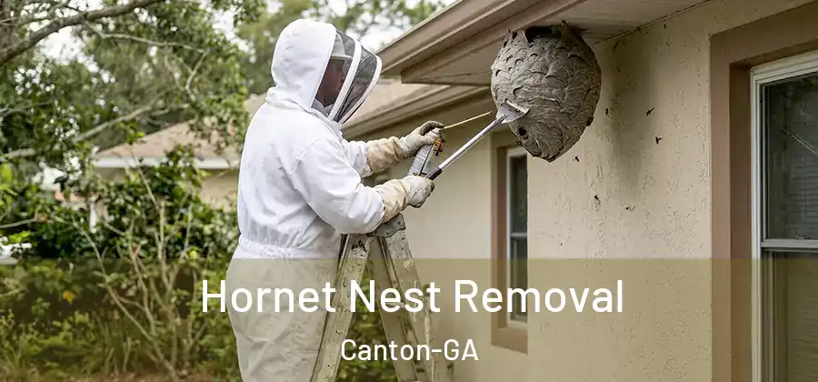  Hornet Nest Removal Canton-GA