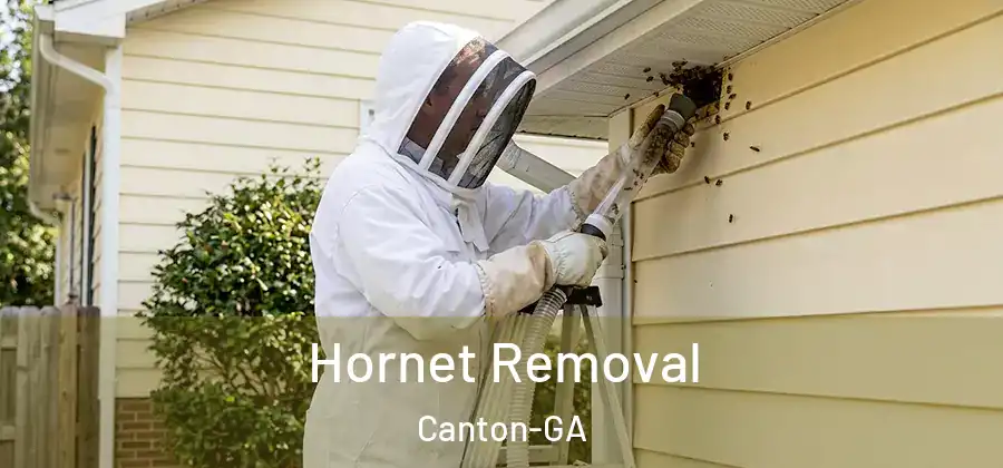 Hornet Removal Canton-GA