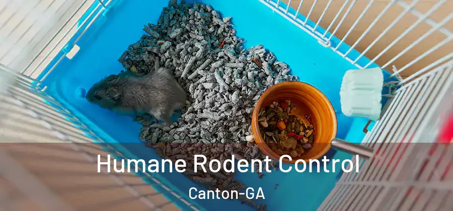  Humane Rodent Control Canton-GA