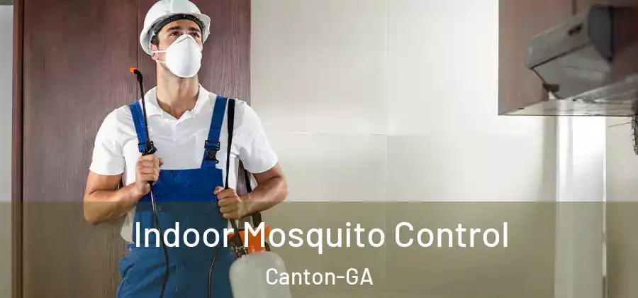 Indoor Mosquito Control Canton-GA
