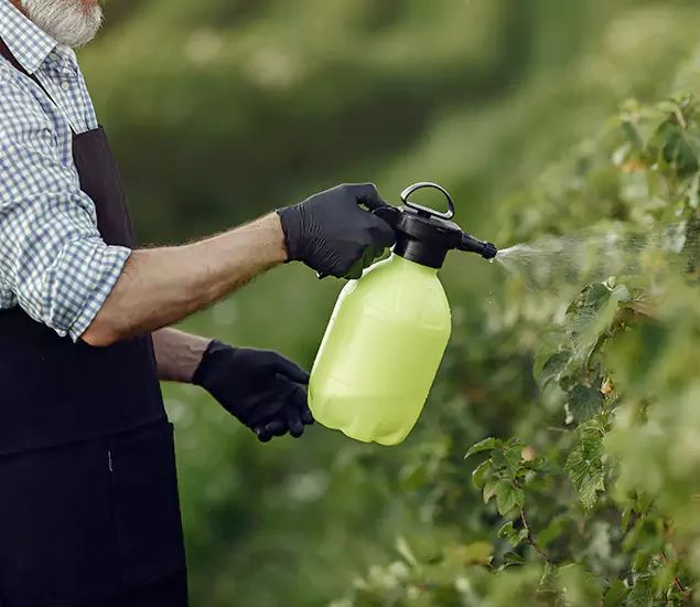 Your Proven Mosquito Treatment Company in Canton, GA