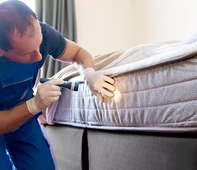 Trusted Bed Bug Cost Experts in Canton, GA