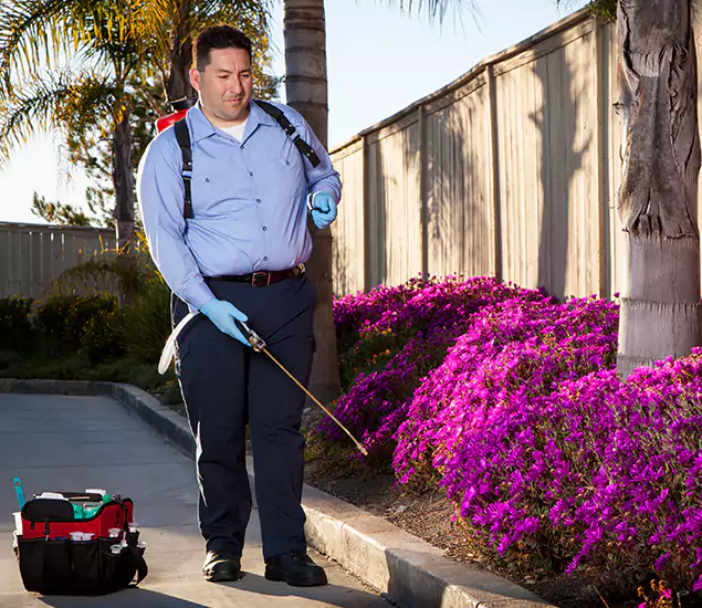 About Our Eco Safe Pest Control Experts in Canton, GA