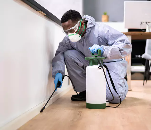 Leading Industrial Pest Control Experts Serving Canton, GA