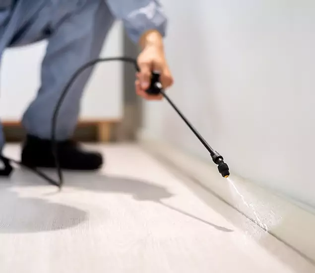 About Our Liquid Termite Treatment Experts in Canton, GA