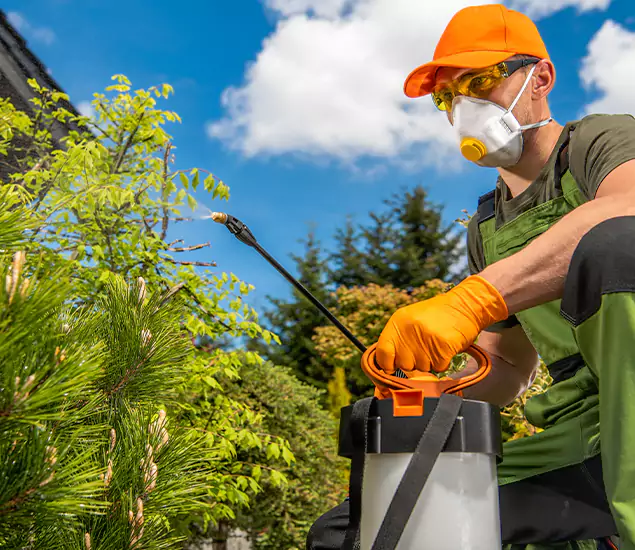 Your Mosquito Repellent Barrier Service in Canton, GA