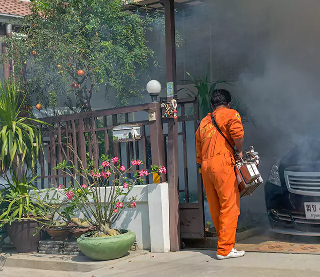 Your Proven Mosquito Fogging Company in Canton, GA