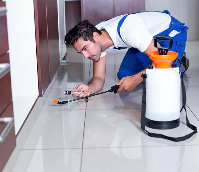 Reliable Professional Mouse Removal: Your Best Mouse Control Company in Canton, GA