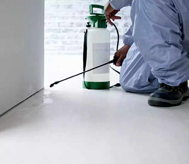 Affordable Pest Control Experts in Canton, GA