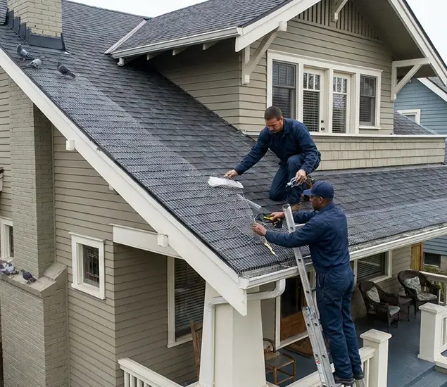 Your Pigeon Control Experts in Canton, GA