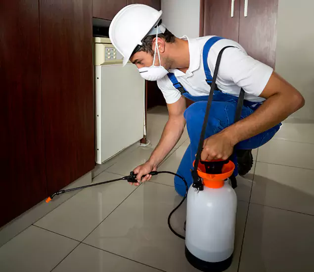 Advanced Termite Pre Treatment Experts in Canton, GA