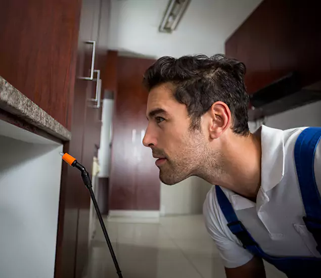 Expert Rodent in Attic Removal: Your Proven Pest Specialists in Canton, GA