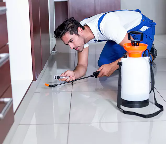Advanced Slab Termite Treatment Experts You Can Trust&nbsp;in Canton, GA