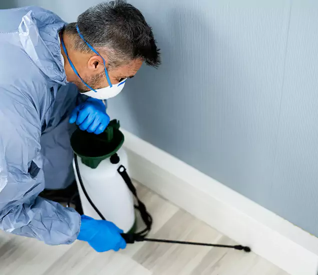 Reliable Termite Cost Experts in Canton, GA