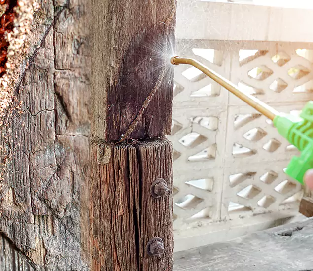 About Wood Termite Treatment Services in Canton, GA