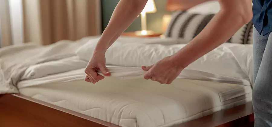 Bed Bug Extermination Services in Canton